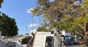 Rama de flamboyán provoca volcadura de camión de mudanzas en la colonia Alemán