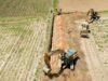 Impulsan al campo yucateco con inversión histórica de más de 83 millones de pesos