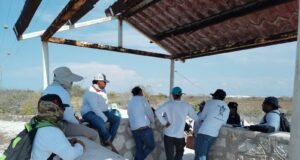 Aclaran control de acceso en Ría Lagartos: prestadores turísticos de Las Coloradas respaldan medidas de conservación