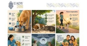 Calor y lluvias ponen en riesgo a perros y gatos; UADY exhorta a reforzar cuidados preventivos