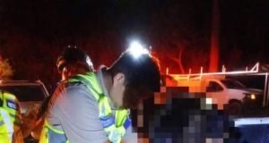 Localizan con vida a tres trabajadores tras intensa búsqueda en zona selvática de Playa del Carmen