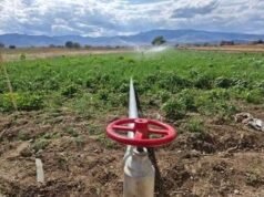 Impulsan soluciones hídricas para garantizar el futuro sostenible de la Península de Yucatán
