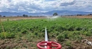 Impulsan soluciones hídricas para garantizar el futuro sostenible de la Península de Yucatán