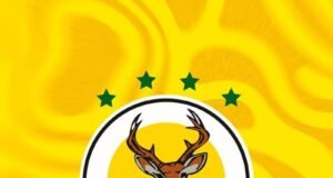 Crece tensión entre Deportiva Venados y Venados FC por uso del estadio Carlos Iturralde