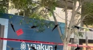 Vecinos logran frenar obra en San Ramón Norte tras años de denuncias