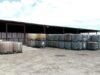 FGR decomisa más de 1.2 millones de litros de combustible ilegal en Apodaca