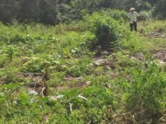 Adulto mayor acusa intento de despojo de tierras ejidales en Dzitbalché