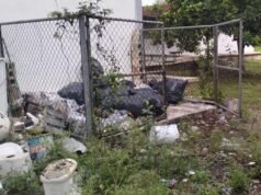 Moviliza presunta mordedura de serpiente a comunidad estudiantil del CECyTEY Hunucmá