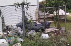 Moviliza presunta mordedura de serpiente a comunidad estudiantil del CECyTEY Hunucmá