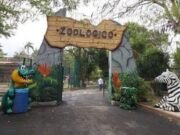 Ataque de jauría deja seis animales muertos en el zoológico del Centenario