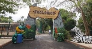 Ataque de jauría deja seis animales muertos en el zoológico del Centenario