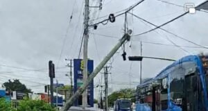 Fuerte accidente en la Canek deja poste derribado y conductor hospitalizado