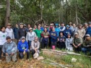 Impulsan red regional para proteger manglares y ecosistemas costeros en Yucatán