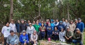 Impulsan red regional para proteger manglares y ecosistemas costeros en Yucatán
