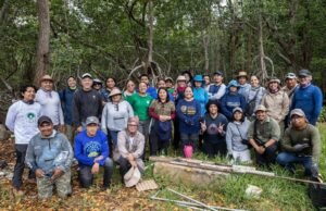 Impulsan red regional para proteger manglares y ecosistemas costeros en Yucatán