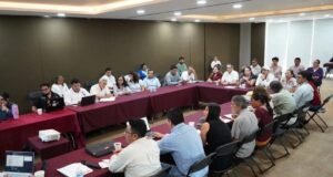 Buscan proteger la miel melipona de Yucatán con reconocimiento de origen