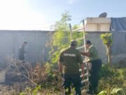 Rescatan a tres cachorros atrapados en un sumidero de Kanasín