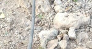 Agua con olor fétido en Tecoh desata denuncias: vecinos acusan posible contaminación y abandono de autoridades
