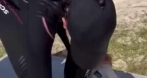 Capturan pez león en Akumal; alertan por riesgo creciente para los arrecifes del Caribe