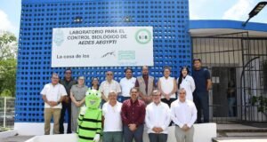Estrategia desarrollada en Yucatán despierta interés de Campeche en la lucha contra el dengue