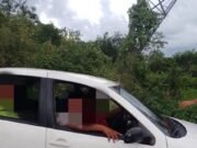 Sorprenden a presuntos abigeos dentro de un rancho en Valladolid; huyen tras ser descubiertos