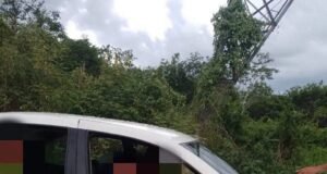 Sorprenden a presuntos abigeos dentro de un rancho en Valladolid; huyen tras ser descubiertos