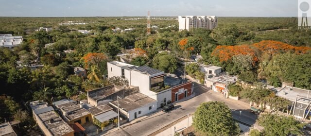 capetillo proyectos capro