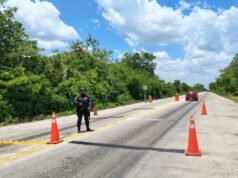 SSP reporta más de 240 revisiones vehiculares sin sanciones durante operativo de regularización en Yucatán
