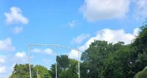 Indignación en Hunucmá por la poda extrema de almendros frente a plantel del COBAY