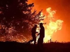 Europa enfrenta una ola de incendios forestales; miles de bomberos luchan contra el fuego en tres países
