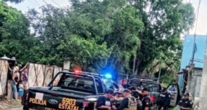 Aseguran más de 10 escopetas y carne de venado y jabalí durante operativo en Ticul