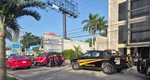 Capturan a perro tras ataques a varias personas en la colonia Maya; SSP busca al propietario