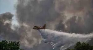 Devastador incendio arrasa el bosque de Fontainebleau; autoridades francesas investigan posible acto intencional