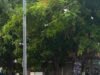 Vecinos de Umán exigen atender presuntas irregularidades en llantera por riesgos sanitarios y obstrucción peatonal