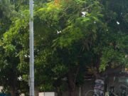 Vecinos de Umán exigen atender presuntas irregularidades en llantera por riesgos sanitarios y obstrucción peatonal
