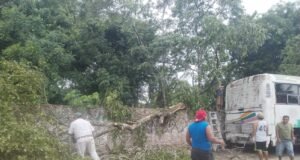 Tormenta deja sin electricidad a Buctzotz y provoca caída de árboles en distintos sectores