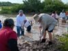 Impulsan nueva etapa para recuperar manglares en Progreso con participación de Conagua y sociedad civil
