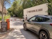Acceso gratuito al Parque del Jaguar mantiene restricciones para automovilistas; sin reservación, no hay entrada vehicular