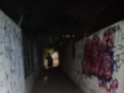 Vecinos del Roble Agrícola exigen alumbrado ante creciente sensación de inseguridad