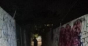 Vecinos del Roble Agrícola exigen alumbrado ante creciente sensación de inseguridad