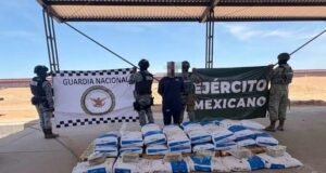 Decomisan más de 400 kilos de cristal y 19 de fentanilo en Sonora; hay un detenido