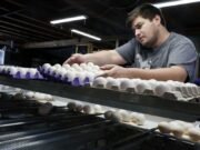 Alerta sanitaria en EE.UU.: retiran del mercado 1.5 millones de docenas de huevos por riesgo de salmonela