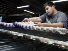 Alerta sanitaria en EE.UU.: retiran del mercado 1.5 millones de docenas de huevos por riesgo de salmonela
