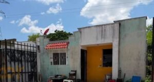 Fiscalía investiga daños a vivienda tras protesta por presunto caso de maltrato animal en Vergel 65