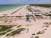 Denuncian daños potenciales a zona de anidación de tortugas por vehículos en playas de Chuburná