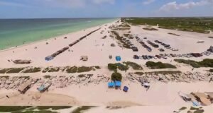 Denuncian daños potenciales a zona de anidación de tortugas por vehículos en playas de Chuburná
