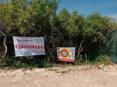 Profepa suspende obras de desarrollo inmobiliario en Chuburná; investigan posible afectación a dunas costeras