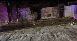 Investigan presunto envenenamiento masivo de perros en colonia de Mérida; vecinos piden castigo a responsables