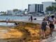 Gobierno federal destinará más de 115 millones de dólares para reforzar combate al sargazo en el Caribe mexicano