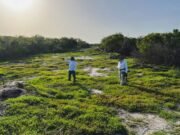 Casi 400 elementos participan en megaoperativo contra desmonte ilegal en la Reserva de Celestún